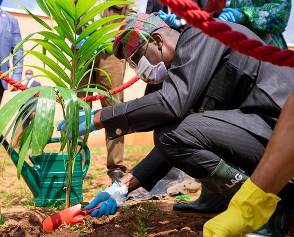 Sanwo-Olu Applauds Health Workers' Sacrifice, as Lagos Marks Tree-Planting Day